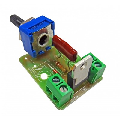 REGULADOR DE LUZ 250 WATS