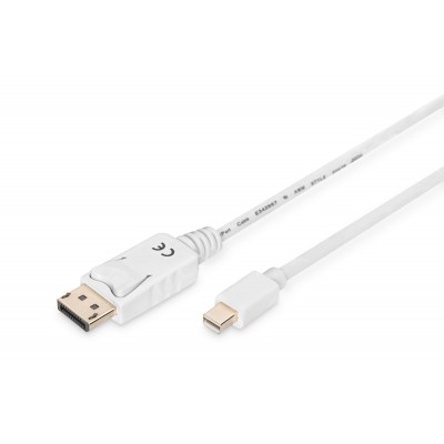Cable de conexión DisplayPort