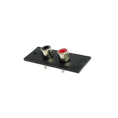 FRONTAL/CHASIS CON 2 RCA HEMB.