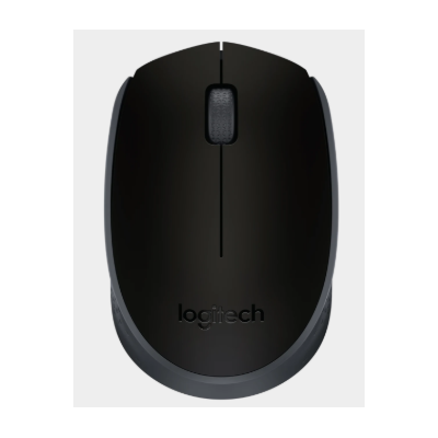 RATON CORDLESS M171 USB