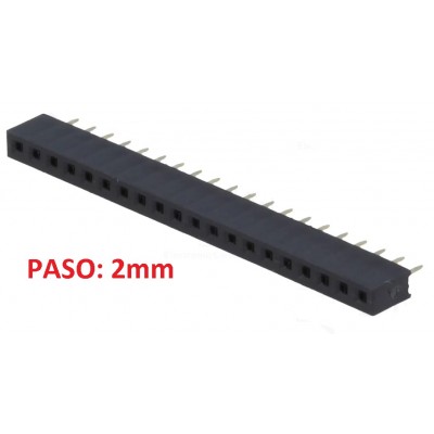 TIRA 40 PINS HEMBRA PASO...